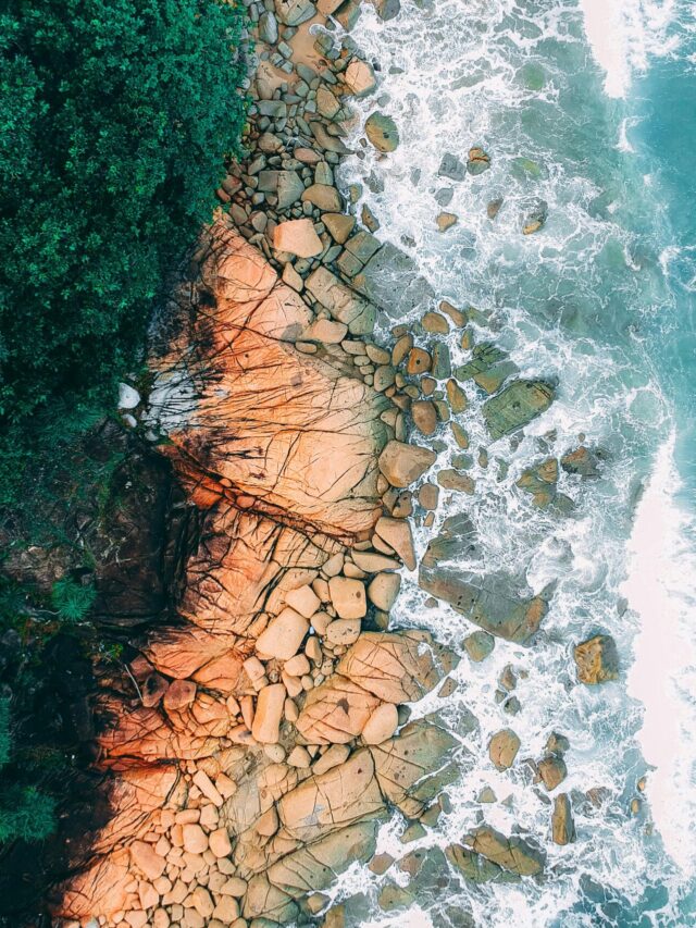 “Living Legends: Meet Earth’s Super Seniors!”